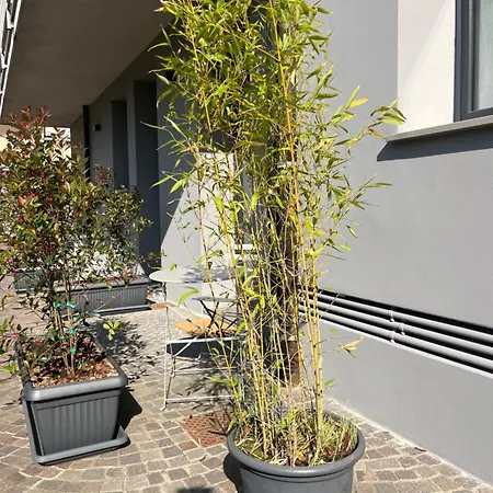 Al 31 Bg * Bérgamo